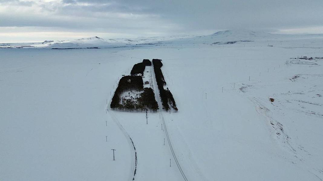 Karlar kraliçesinin saklı bahçesi gibi! Bozkırda yükselen yeşil cennet 9